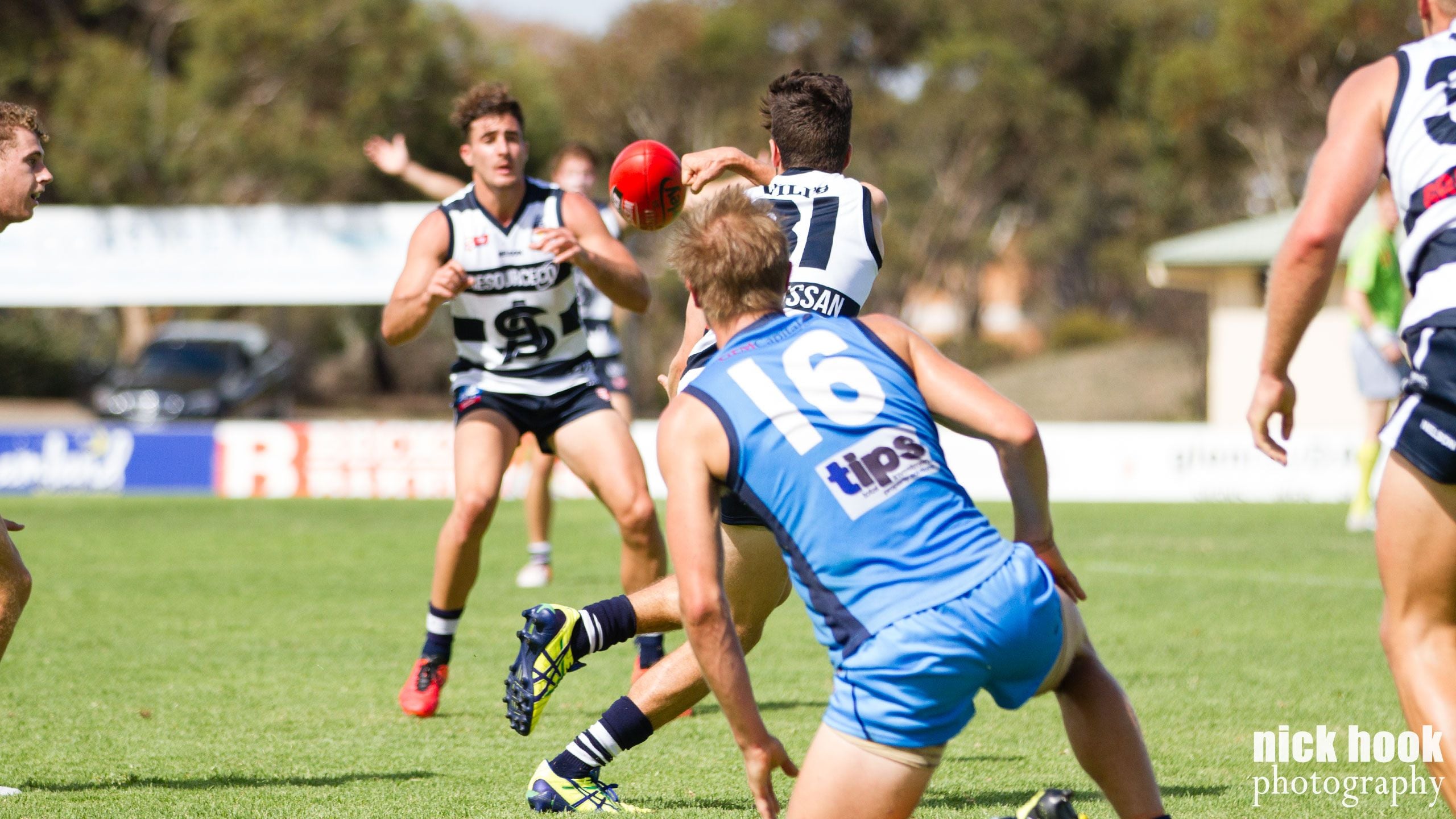 Trial Game One - South Adelaide vs Sturt Image -56de493b0da3a